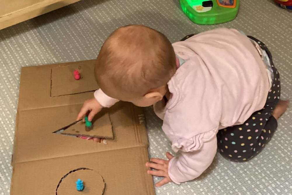 Seedlings Early Learning Centre - Rochedale QLD